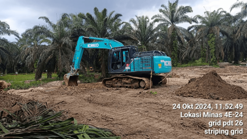 DELINEATION, LAND ACCESS, RESTORATION OF ENVIROMENTAL FUNCTION 