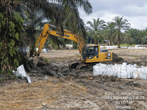 DELINEATION, LAND ACCESS, RESTORATION OF ENVIROMENTAL FUNCTION  - 2 