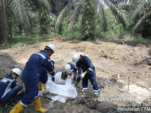 DELINEATION, LAND ACCESS, RESTORATION OF ENVIROMENTAL FUNCTION  - 3 