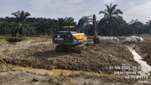 DELINEATION, LAND ACCESS, RESTORATION OF ENVIROMENTAL FUNCTION  - 5 